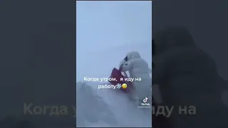 И это Сибирь!🥶