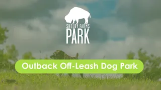 The Outback Off-Leash Dog Park