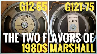 The Two Different Sounds of 1980s Marshall Amps! G12T-75 vs G12-65