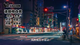 『谁能明白我 (奋斗版) 原唱：林子祥』大笨【怀自信我永不怕夜航，到困倦我自弹自唱...】🎧🎼※{ 动态歌词 Lyrics }※❤️