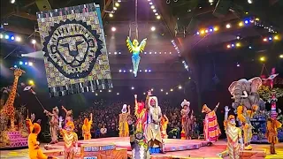 Festival of the Lion King | Christmas Day | Walt Disney World's Animal Kingdom | 25/12/2022