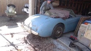 1954 Austin-Healey 100-4 Texas Garage Find