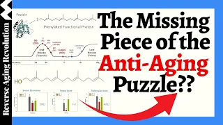 The MISSING Piece of the Anti-Aging Puzzle?? A Molecule Essential For Muscle, Hormone And More!!