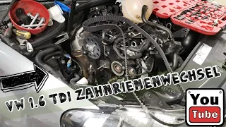 Vw Golf 6 VI 1.6tdi Zahnriemenwechsel + Wasserpumpe Anleitung / Timing Belt Replacement