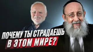 Почему ты страдаешь в этом мире? Рав Ашер Кушнир