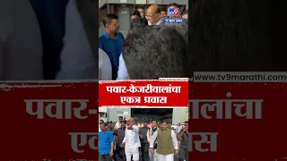 दिल्लीचे मुख्यमंत्री Arwind Kejriwal आणि Sharad Pawar यांचा एकत्र प्रवास | tv9 Marathi