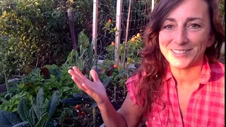 Why grow your own food   New Homegrown Revolution