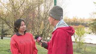 Celebrate WNY: Cherry Blossoms in Bloom