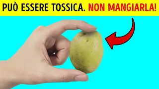 Le patate verdi si possono mangiare? Sì, ma con un’avvertenza