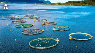 The Future of Aquaculture and its New Technologies