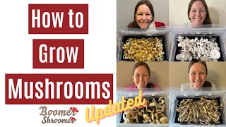 How to Grow Mushrooms UPDATED