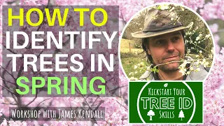 How To Identify Trees in Spring (online workshop)