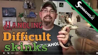 Handling Difficult to Hold Skinks - Ep. 44