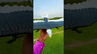 Remote control Fastest Flying Eagle