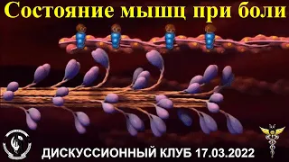 Дискуссионный клуб «Цервикокраниалгия: скелетно-мышечные причины боли. Состояние мышц при боли»