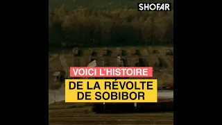 Voici le déroulement de la révolte de Sobibor .