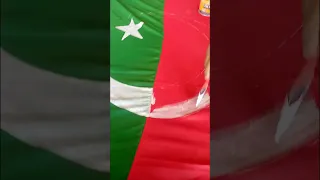 pti flag painting and drawing #youtubeshorts #shorts #viral