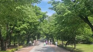 인천시립합창단 "나뭇잎 사이로"/ 조동진