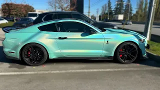 Worlds LOUDEST Shelby GT500 Cold start & Revs