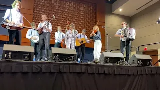 Hayde Bluegrass Orchestra "Girl From the North Country"