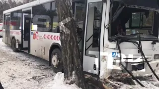 ДТП на Киренского: автобус с пассажирами врезался в дерево