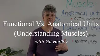 Muscles ~ Anatomical vs Functional Units: Learn Integral Anatomy with Gil Hedley
