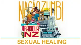 Sexual Healing - Músicas do Radiola NZ - Nação Zumbi