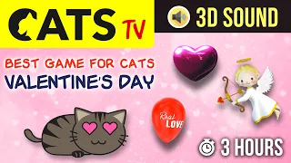 GAME FOR CATS - Valentine's day 💖 3 HOURS - 60FPS [CATS TV]