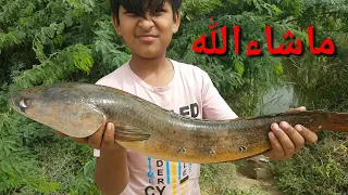 Fishing At Haleji /ھالیجی سول کا شکار