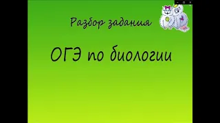 Биология. Разбор 23 заданий ОГЭ по биологии на пищеварение