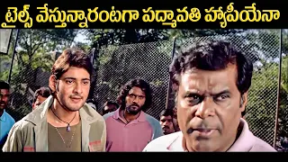 Pokiri Movie Scenes | Mahesh Babu | Ileana D cruz| Telugu Movies | iDream Trending | Brahmanandham