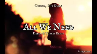 Odesza, Shy Girls - All We Need (Dzeko & Torres Remix)