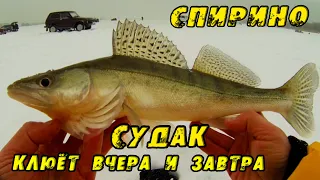 ЭТОТ ВИБ ЛОВИТ!!! Поклёвки с УДАРОМ! Зимняя рыбалка в СПИРИНО. СУДАК и ЩУКА НА ВИБЫ зимой 2023!