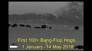 First 100+ Bang-Flop Hogs Of 2018