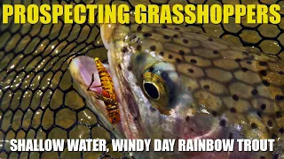 Fly Fishing - Prospecting Grasshoppers for Rainbow Trout in Shallow Water on a Windy Day
