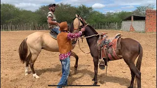 Ygor chama Zoinho pra montar no burro cravinho pela primeira vez, e o burro pulou muito