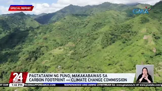 Pagtatanim ng puno, makakabawas sa carbon footprint -- Climate Change Commission | 24 Oras