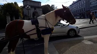 Dublin City Walking Tour Part-1 " Stephen Green Park "