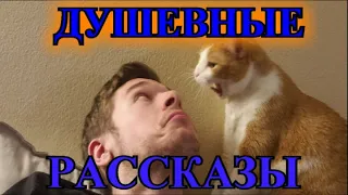 ДУШЕВНЫЕ  РАССКАЗЫ❤️Я ВЫБИРАЮ ЕГО❤️ДУРАК❤️ТЁЩА❤️ ПОЛКОВНИК❤️ПИСЬМА НА НЕБО @TEFI РАНАСТОЯЩИЙССКАЗЫ