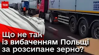 👀 Розсипане українське зерно на кордоні! Блокада триває! Польський міністр виправдовується