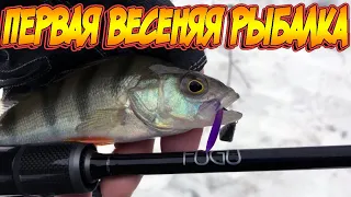 Первая весенняя рыбалка. Перчатки Savage Gear. Микроджиг с Nautilus FUGU