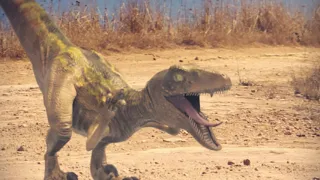 Raptor Scream