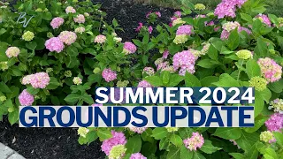 Summer Grounds Update 2024