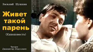 Живет такой парень (Киноповесть) #ВасилийШукшин #Шукшин #джахангирабдуллаев #аудиокнига #читаювслух