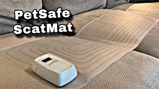 PetSafe ScatMat Review