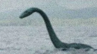 Ogopogo Spotted? Has Canada's Version of the Loch Ness Monster Been Caught on Video?