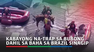 Kabayong na-trap sa bubong dahil sa baha sa Brazil sinagip