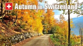 🍂🍁 Autumn Colors in Switzerland 🇨🇭  Fall Foliage | Scenic Drive with Relaxing Music [4K]