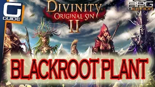 DIVINITY ORIGINAL SIN 2 - Blackroot Plant Location for Powerful Awakening Quest