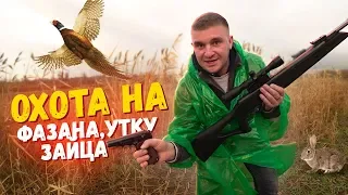 ОХОТА НА ФАЗАНА! УТКУ! ЗАЙЦА! ПЕРВЫЙ РАЗ НА ОХОТЕ!